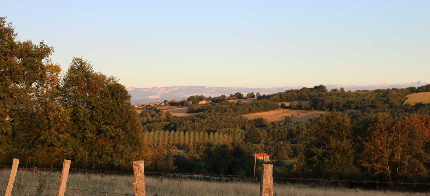 paysage pommier de beaurepaire